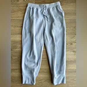 Fabletics Light Blue Joggers